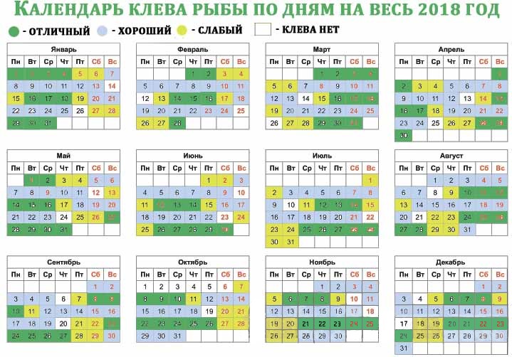 Лунный календарь рыболова на июль 2024 год